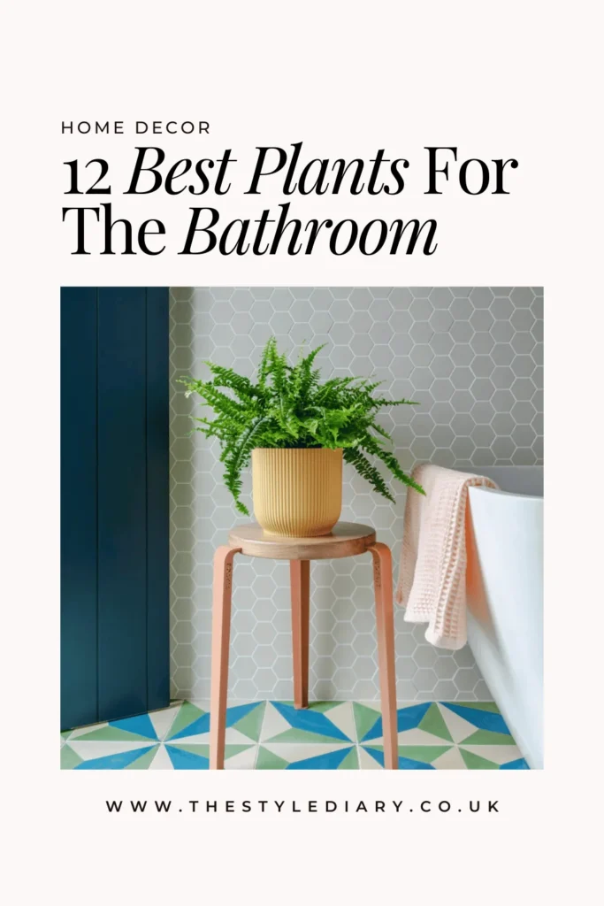 Best bathroom plants