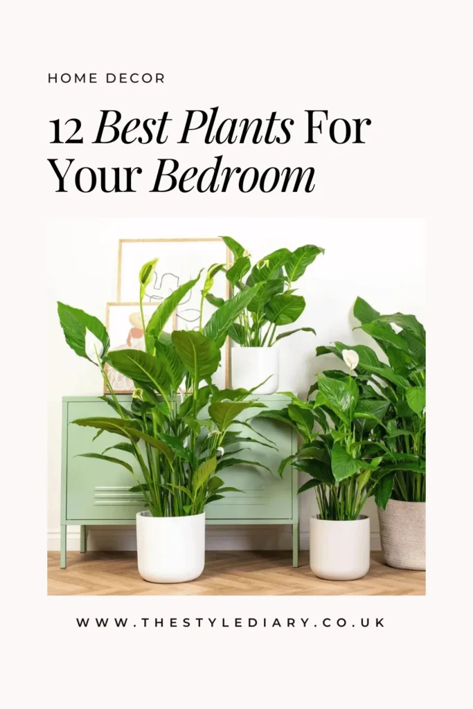 12 Best Plants For Your Bedroom