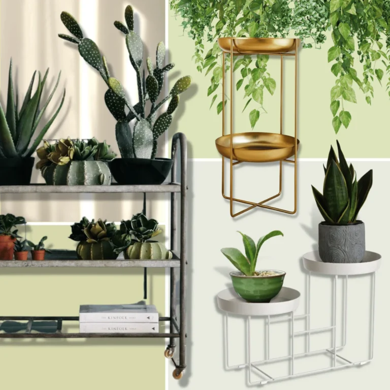 Best Indoor Plant Stands For Multiple Plants