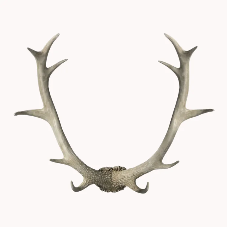 wooden antlers. western gothic homeware