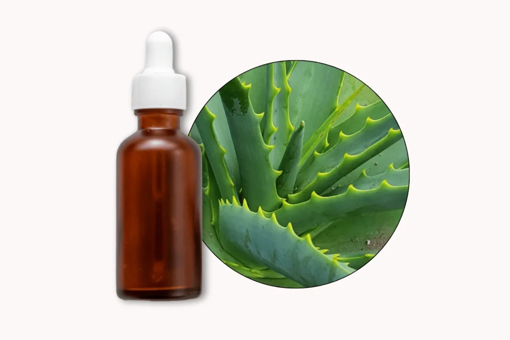 Hydrating Aloe Vera & tea tree oil Mask. Aloe Vera Face Mask Recipes