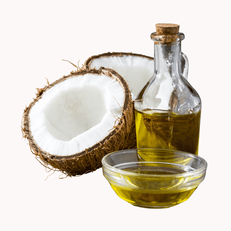 Coconut in its fruit form and oil form. natural body oils 