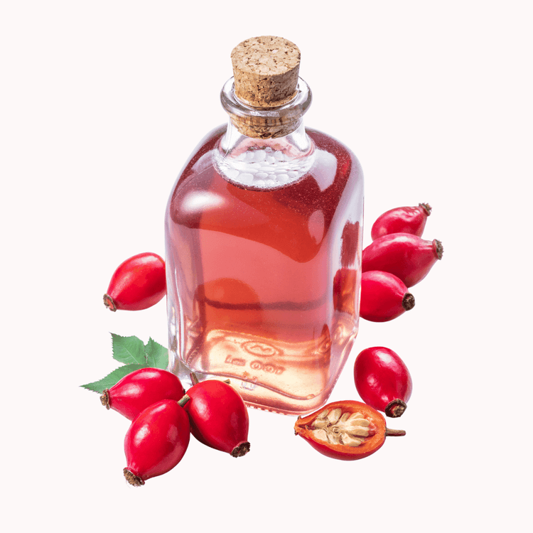 Rosehip in its fruit form and oil form. Natural body oils