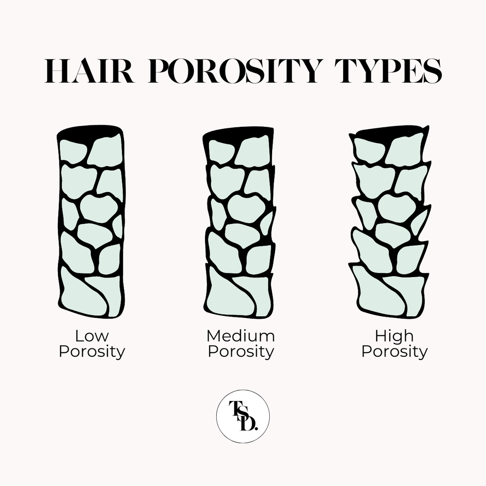 Illustration of different hair porosity types. Best oils for low porosity hair