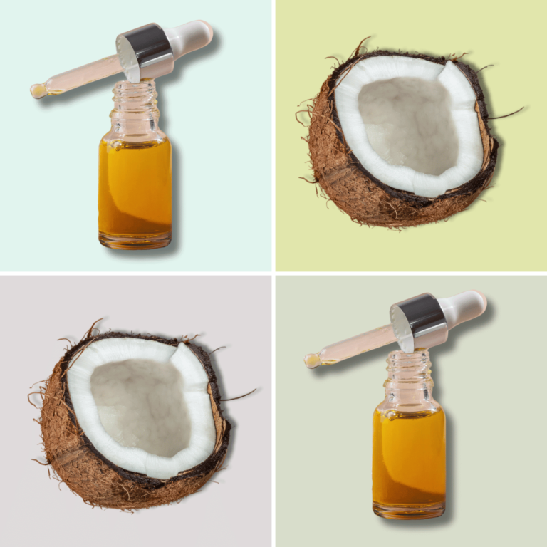 illustration of Coconuts and bottles of argan oil