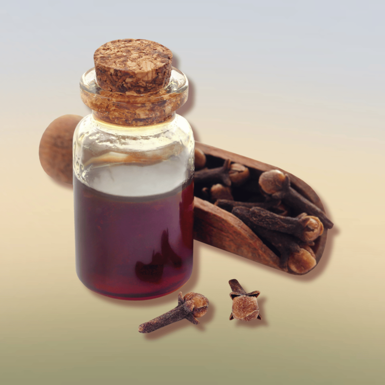 Clove oil in a bottle on a gradient background