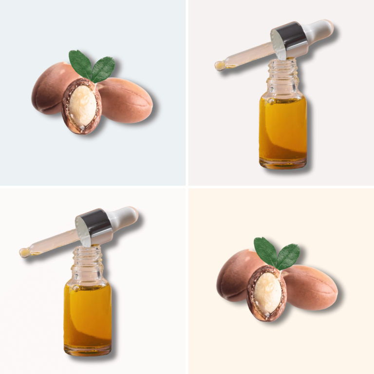 illustration of oil and argan oil nuts. Argan oil vs Jojoba oil concept